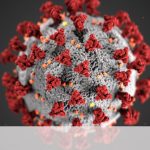 免疫避けるウイルス、国内で変異の可能性　慶応大が分析 （朝日新聞）