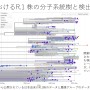 免疫逃避変異E484Kを含むR1株の国内分布
