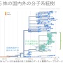 米国西海岸由来株が3か月間で最初の株から150株に増加